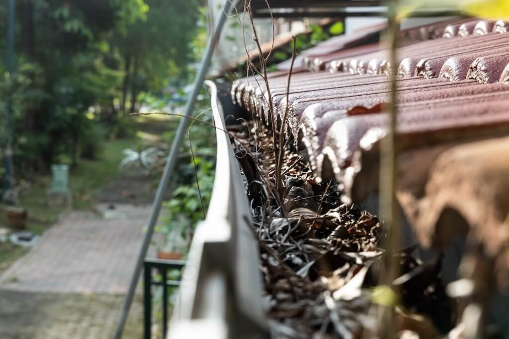 Gutter Cleaning in Jacksonville, FL